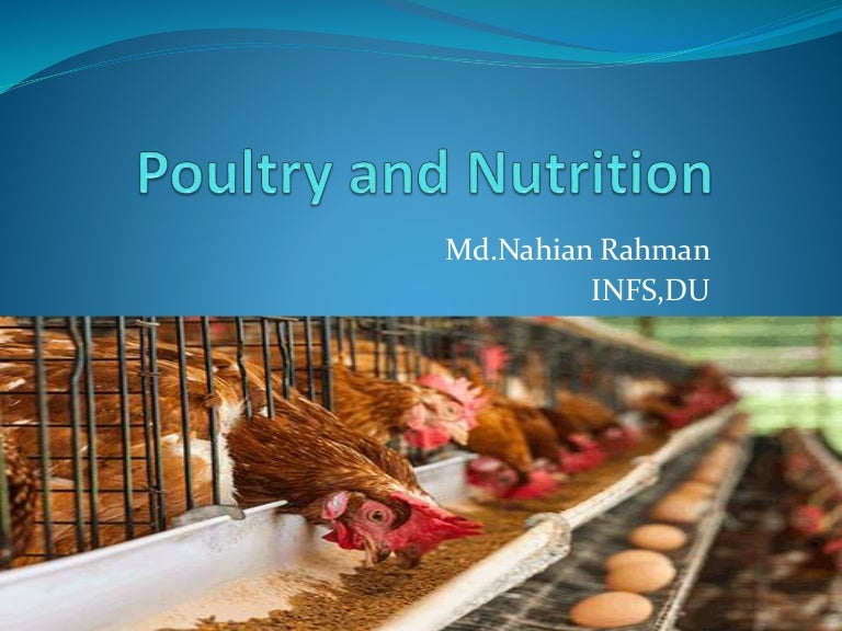 Poultry and nutrition in bangladesh