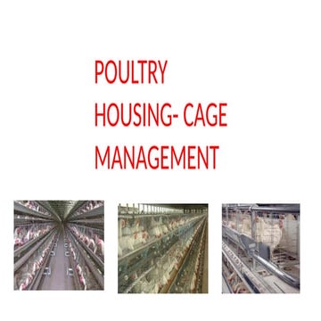 poultry housing and cage_management.pptx