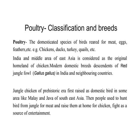 Comprehensive Guide to Poultry Classification, Breeds, and Management ...