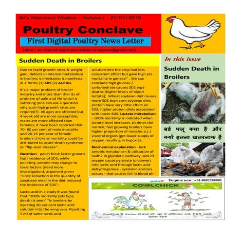 Poultry Droppings / Chicken Poop Color Guide | PDF