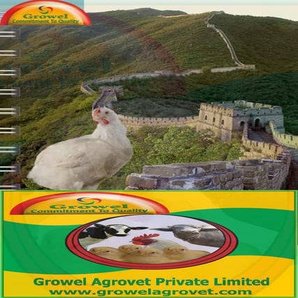 Poultry Diseases  Cause, Diagnosis, Control & Treatment