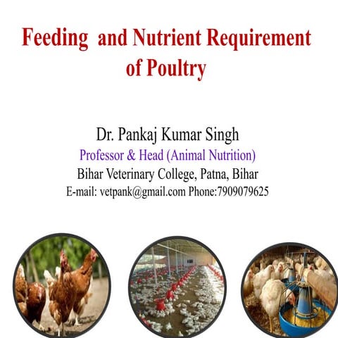Feeding of Broiler, Layer, Duck,  Guine fowl, Japanese Quail, Emu, Turkey 