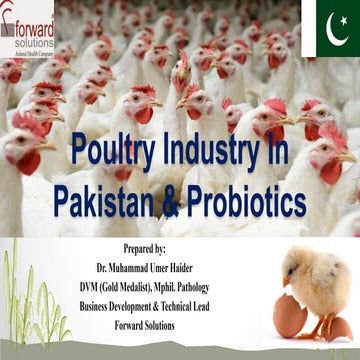 Poultry industry in Pakistan and Probiotics | PPTX