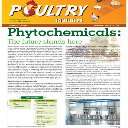 Poultry insights november-2013