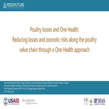 Poultry losses and One Health: Reducing losses and zoonotic risks along the p...