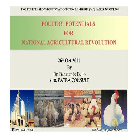 Poultry production challenges, potentials and way forward    pan-lagos 2011