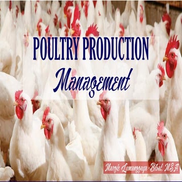 Poultry production management