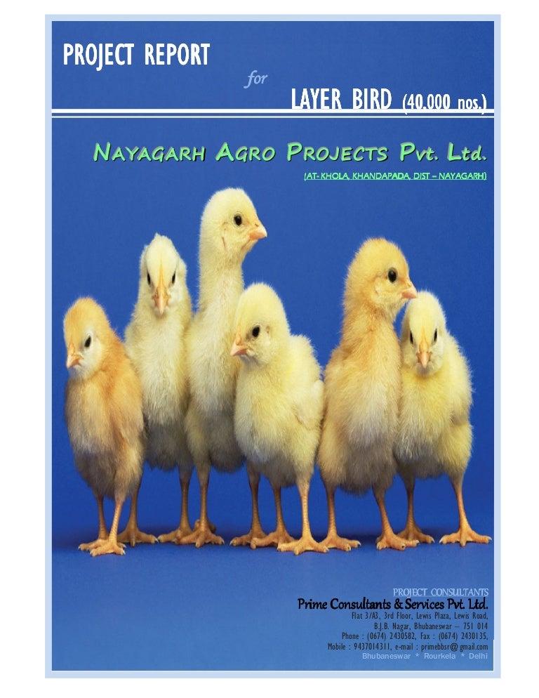 Poultry project report