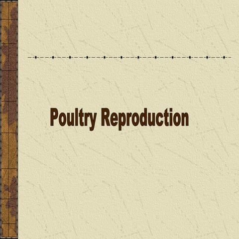 Poultry reproduction