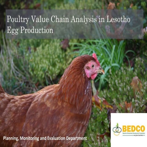 Poultry Value Chain Analysis in Lesotho - Egg Production 