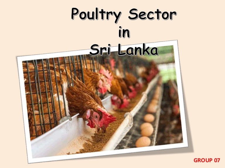 poultry sector in Srilanka