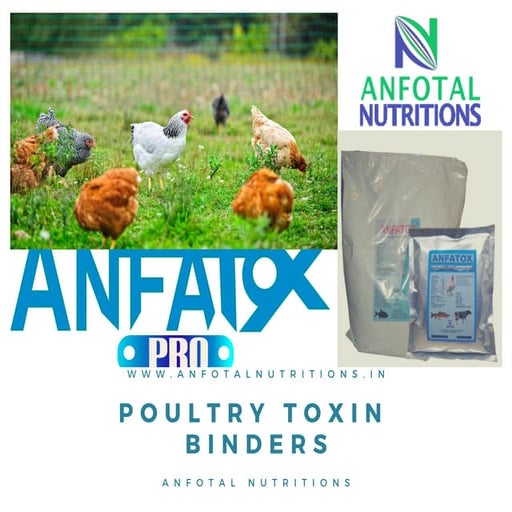 Poultry toxin binder PPT