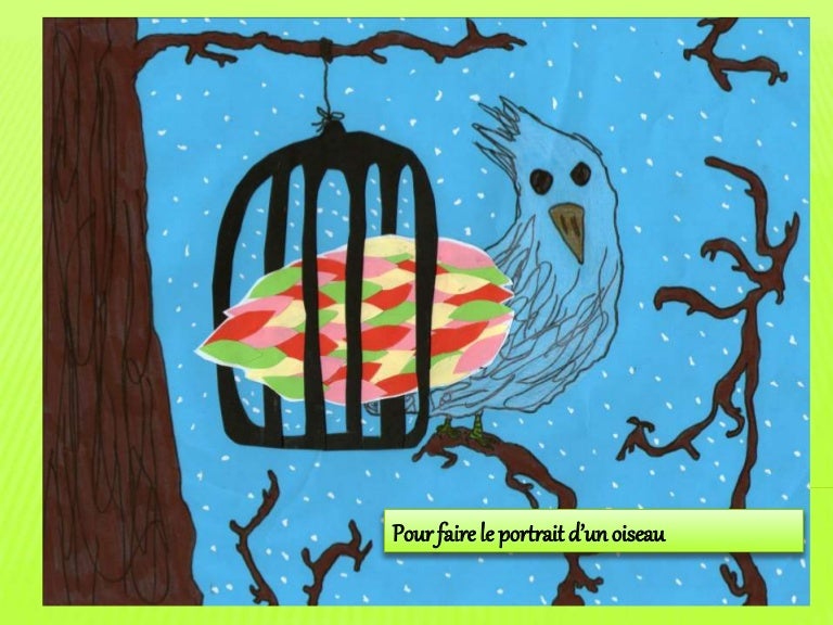Pour Faire Le Portrait D Un Oiseau Cm2