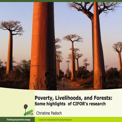 Poverty, livelihoods, and forests - Christine Padoch