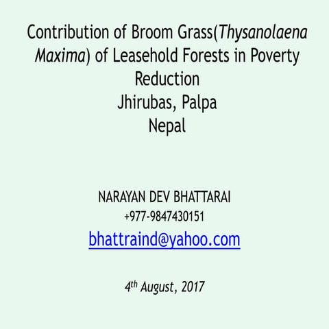 Poverty Reduction by Broom Grass in Nepal by ND Bhattarai