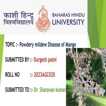 powdery mildew of mango.pptx