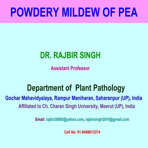 Powdery mildew of pea