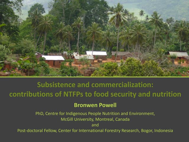 Subsistence and commercialisation: contributions of NTFPs to food security and nutrition