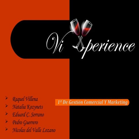 Presentación Empresa "VI Xperience"