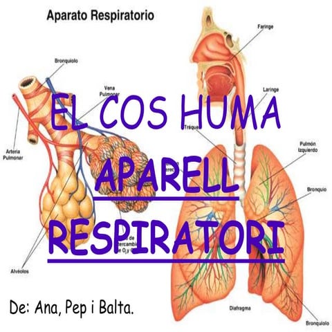 Aparell Respiratori