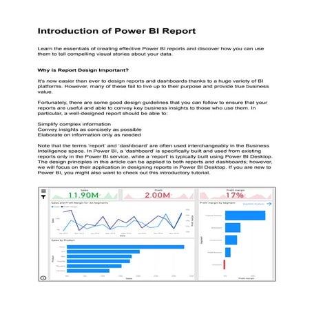 Power BI Report.pdf