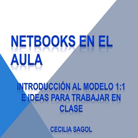 Netbook en el aula- Cecilia Sagol