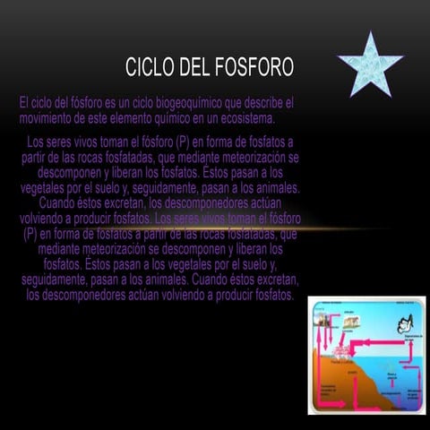 Power ciclo del fosforo 2