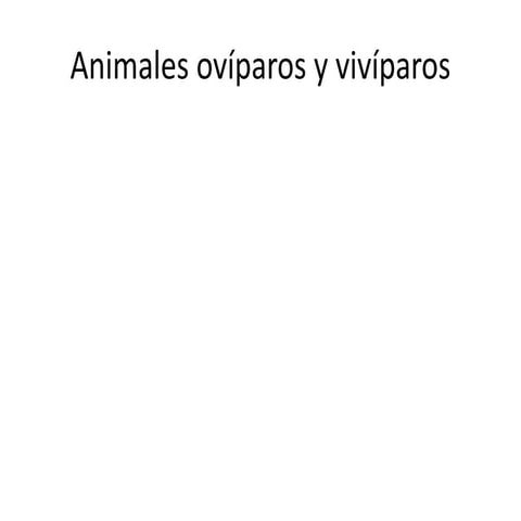 Power de animales ovíparos y viviparos