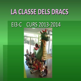 Projecte dels Dracs 2013