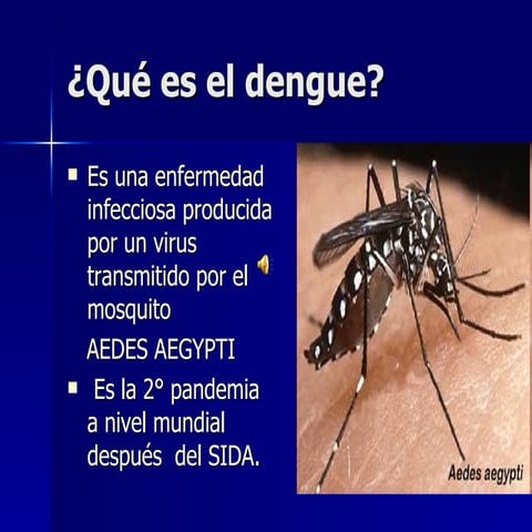 "Campaña contra el dengue," CEP2, Resistencia Chaco