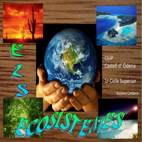 Power Ecosistemes
