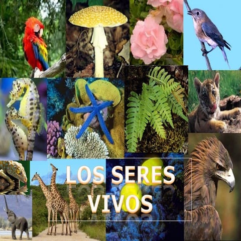 Power introducción tercer ciclo