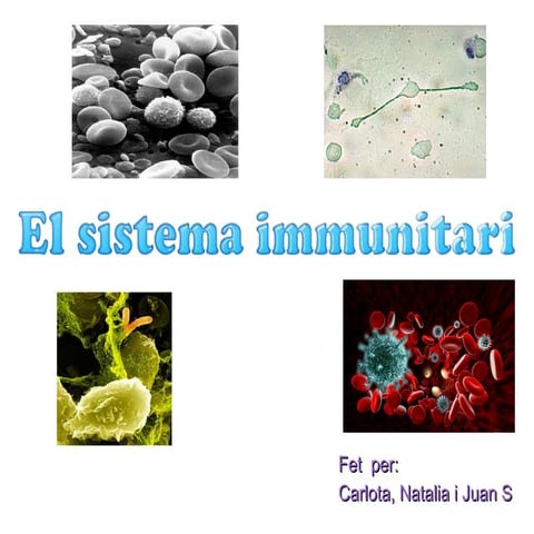 Sistema immunitari