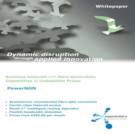 Power Ngn%20 Datasheet 0