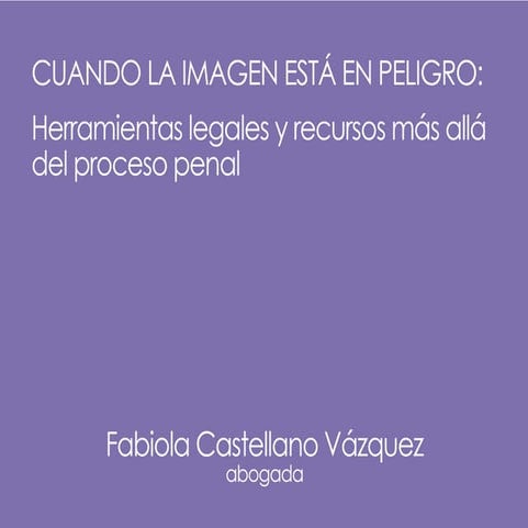 Cuando la imagen está en peligro: herramientas legales y recursos más allá de...