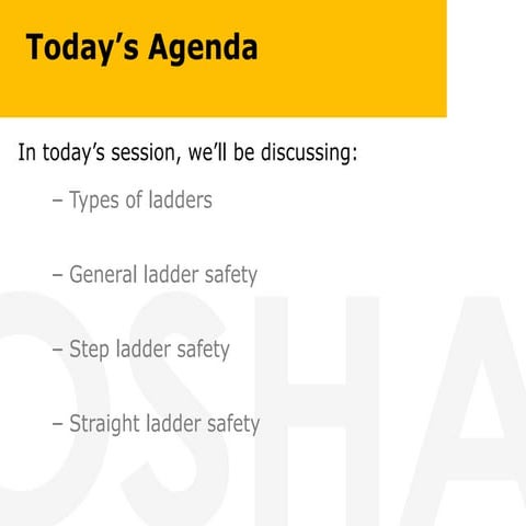 Comprehensive Ladder Safety Training: Types, Usage, and Best Practices ...
