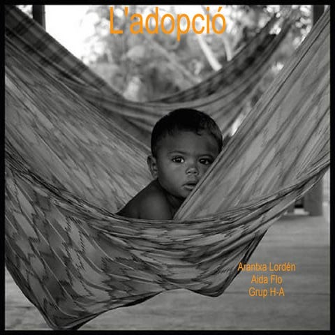 Power point adopció