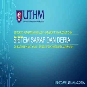 Sistem Saraf Dan Deria