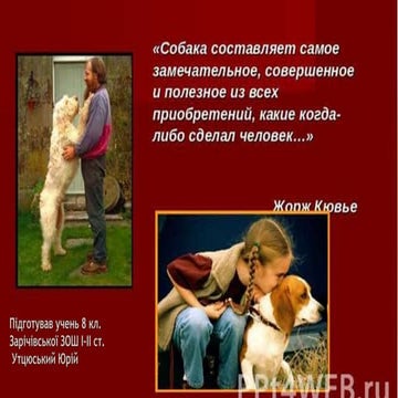 собакиPower point.pptx [автосохраненный]