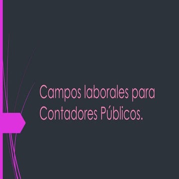 campos laborales para Contadores Públicos.