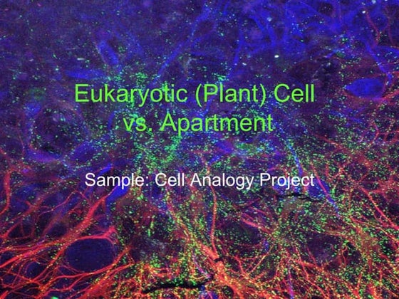Gr8 hannah-cellanalogy | PPTX