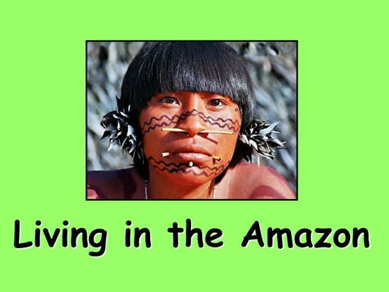 The Amazon Rainforest | PPTX | Geography | Science