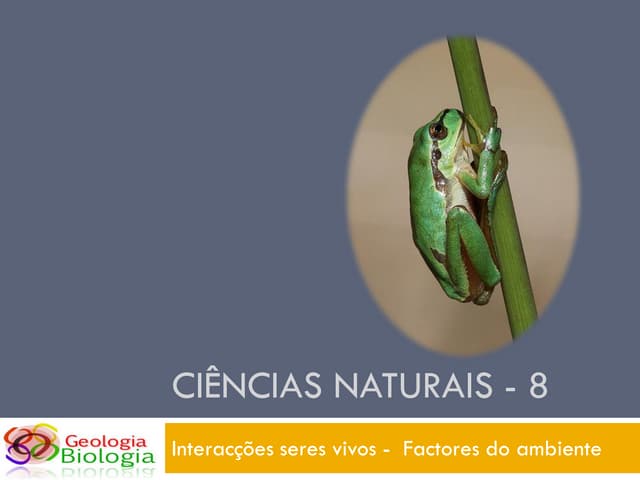 Powerpoint Nr. 2   InteracçõEs Sere...