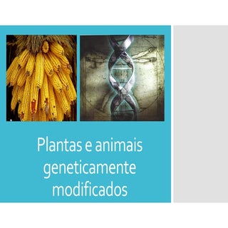 Powerpoint    organismos transgénicos