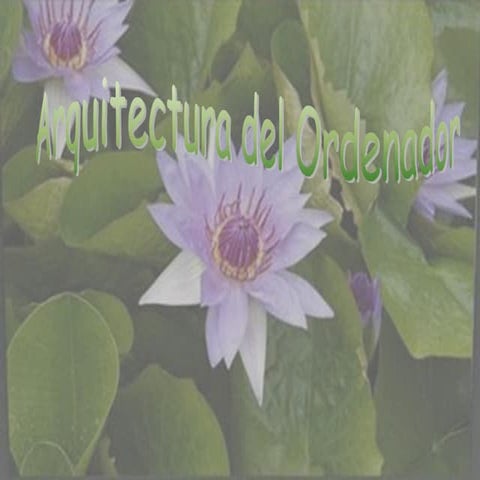 Arquitectura del ordenador by raquel