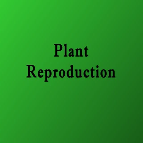 Powerpoint 16 plant reproduction