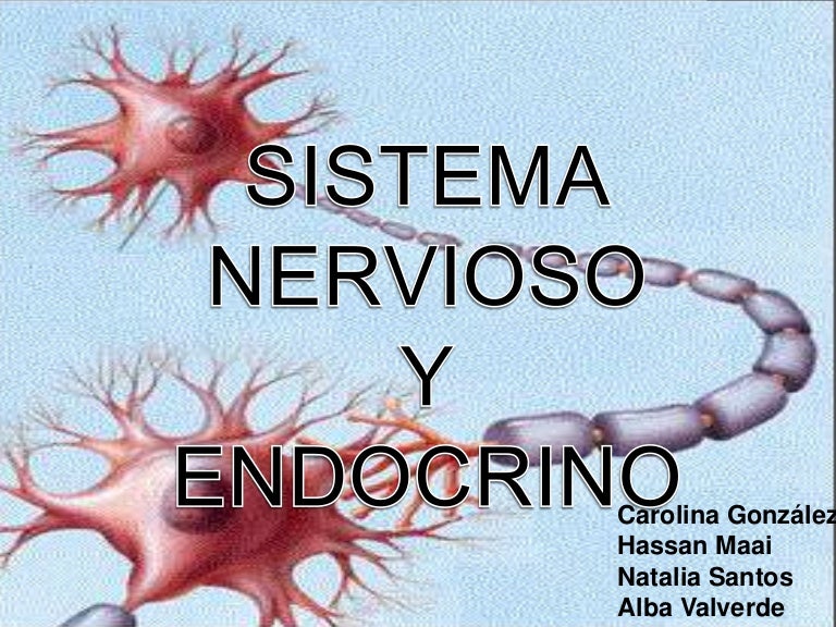 Sistema Nervioso y Endocrino Sistema Nervioso y Endocrino