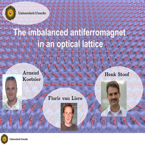The imbalanced antiferromagnet in an optical lattice