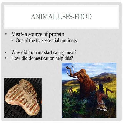 Powerpoint 32 animal uses