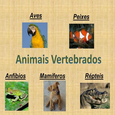 ANIMAIS VERTEBRADOS - PAULA PIRES | PPTX
